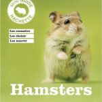 Hamster Broché – 15 août 2012