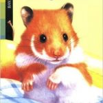 Un hamster trop gourmand Poche – 28 février 2006