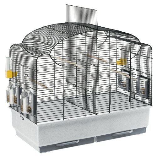 2020 Une Cage Deux Oiseaux 2020 Une Cage Deux Oiseaux